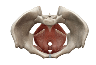 capture d_écran 2019-01-08 à 17.00.14