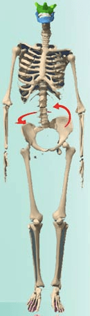 Capture d’écran 2020-07-23 à 15.38.34